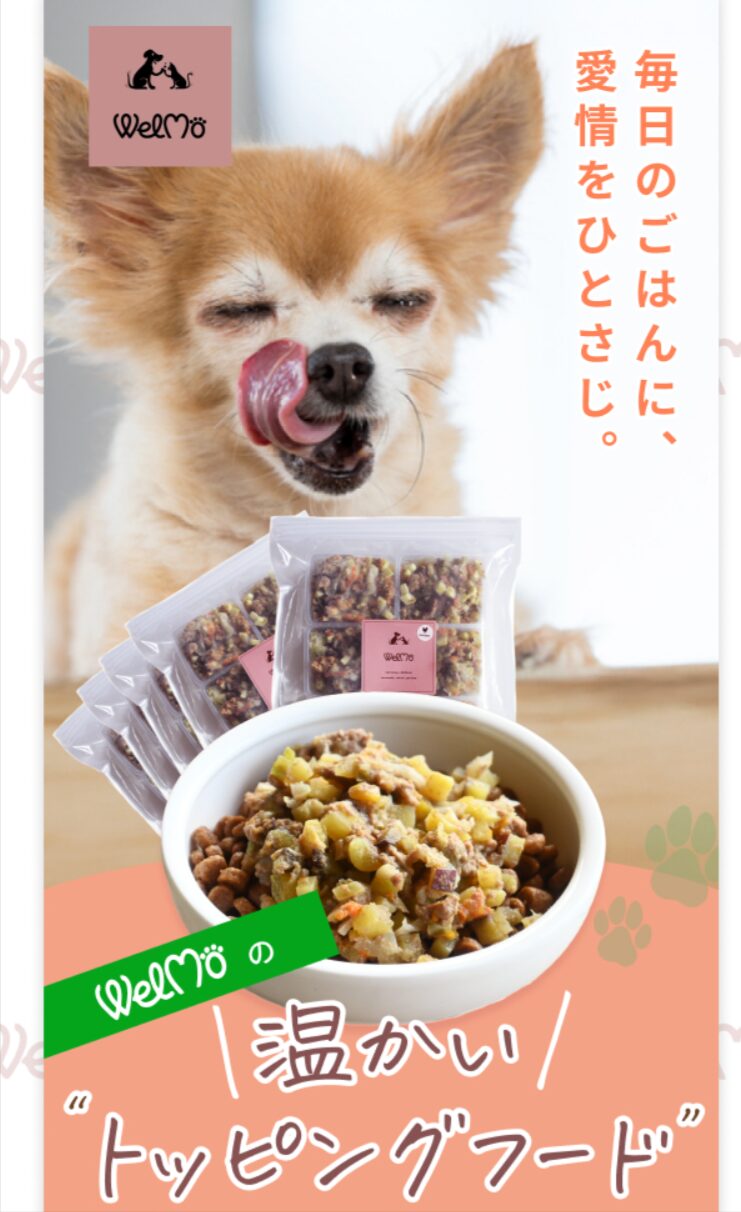 WelMoのFV