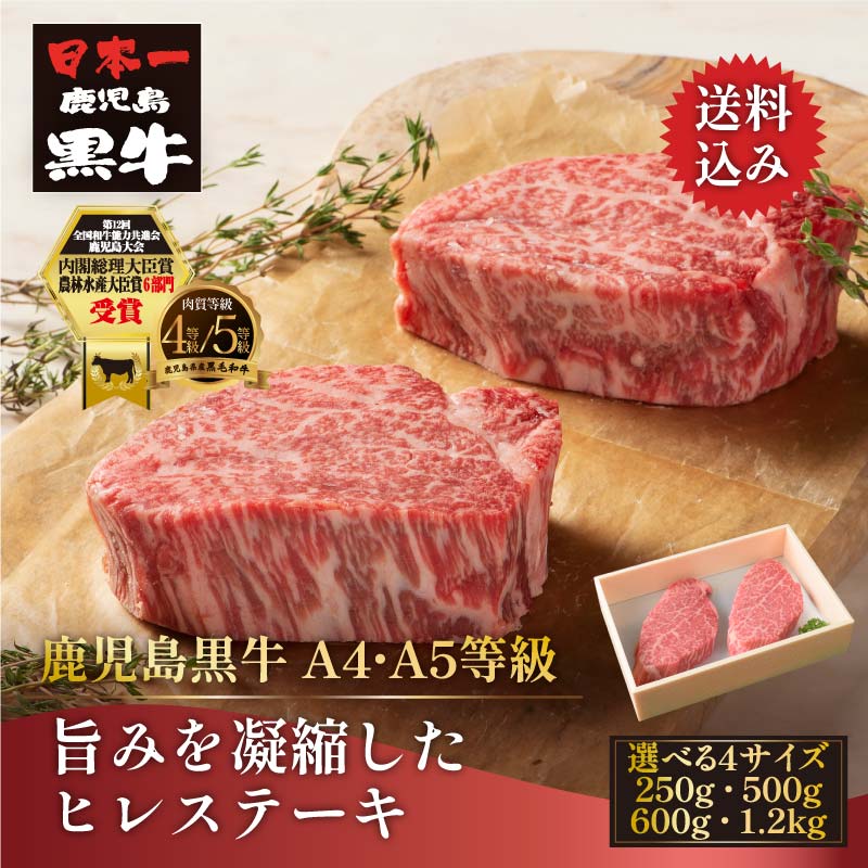 人気ベスト1
